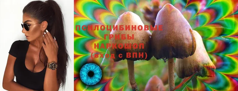 Галлюциногенные грибы MAGIC MUSHROOMS  наркошоп  omg   Павловская 